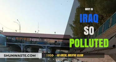 Iraq's Pollution Crisis: Causes, Consequences, and Urgent Solutions Needed