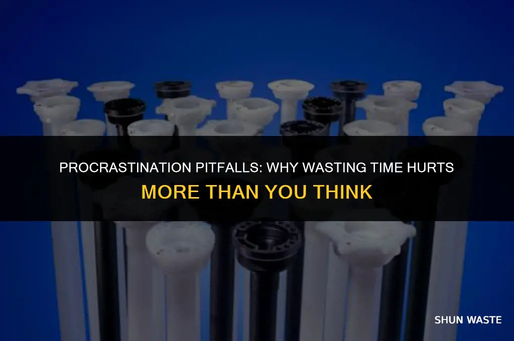 why is it a bad idea to waste time