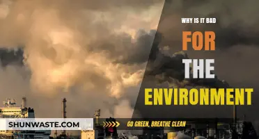 Environmental Impact: How Human Actions Harm Our Planet's Health