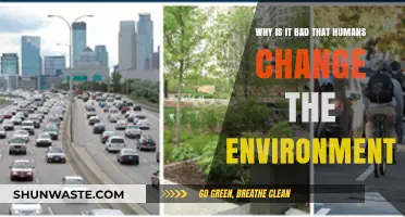 Human Impact: How Altering Environments Threatens Our Planet's Future