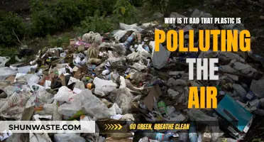 Plastic Pollution: Harming Air, Hurting Us