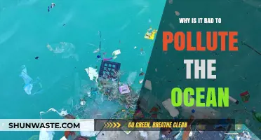 Ocean Pollution's Devastating Impact: Why It's Harmful and Must Stop