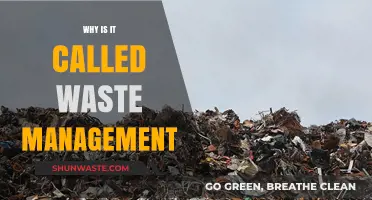 Unveiling the Origins: Why 'Waste Management' Matters