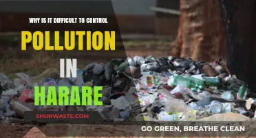 Challenges in Controlling Harare's Pollution: Causes and Solutions Explored
