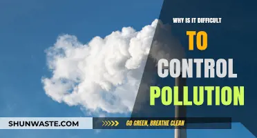 Challenges in Combating Pollution: Understanding the Complexities of Control