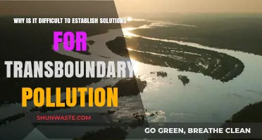 Transboundary Pollution Challenges: Why Solutions Remain Elusive Across Borders