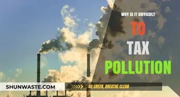 Challenges in Taxing Pollution: Economic, Political, and Practical Barriers