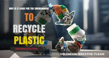 Recycling Plastic: A Sustainable Choice for a Greener, Healthier Planet