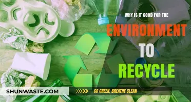 Recycling's Green Impact: How Reusing Materials Benefits Our Planet