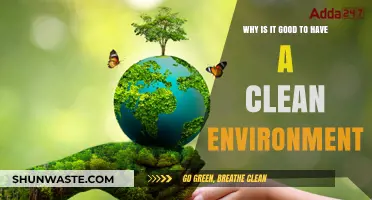 Clean Environment, Healthy Life: Benefits of a Tidy Surroundings