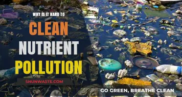 Challenges of Cleaning Nutrient Pollution: Causes, Impacts, and Solutions