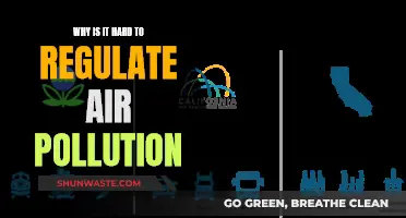 Controlling Air Pollution: Complex Challenges, Complex Solutions