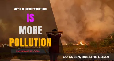 Pollution's Heat Effect: How Emissions Intensify Global Temperatures