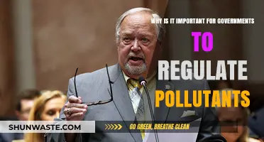 Regulating Pollutants: Why Government Action is Crucial for a Sustainable Future
