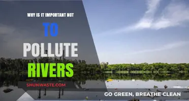 Protecting Rivers: Why Preventing Pollution is Crucial for Ecosystems and Communities