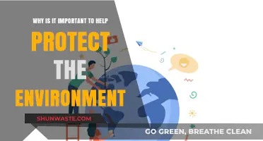 Protecting Our Planet: Why Environmental Conservation Matters for Future Generations