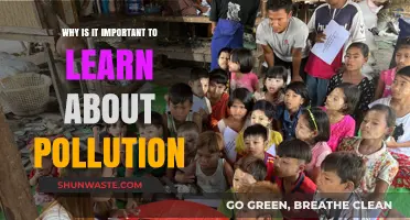 Understanding Pollution: Why Learning About It is Crucial for Our Planet