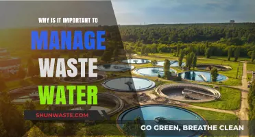 Sustainable Futures: The Critical Role of Wastewater Management