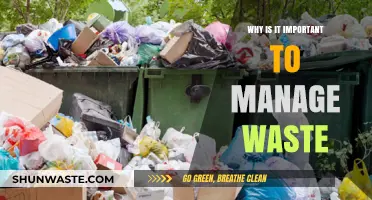 Sustainable Futures: The Critical Role of Waste Management