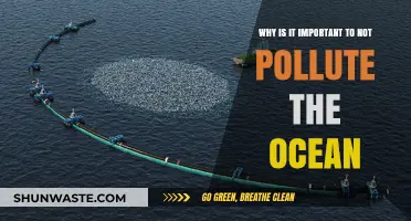 Protecting Our Oceans: Why Pollution Prevention is Crucial for a Healthy Planet