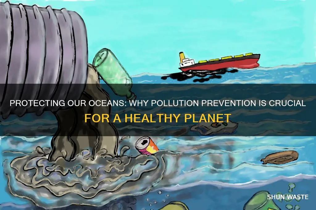 why is it important to not pollute the ocean