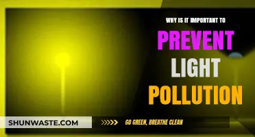 Preventing Light Pollution: Preserving Night Skies, Ecosystems, and Human Health