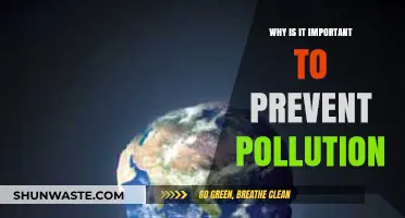 Preventing Pollution: Safeguarding Our Planet's Health and Future Generations