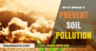 Preventing Soil Pollution: Safeguarding Our Earth’s Lifeline for Future Generations