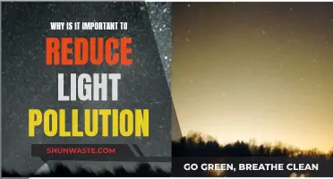 Reducing Light Pollution: Preserving Nature's Nighttime Beauty