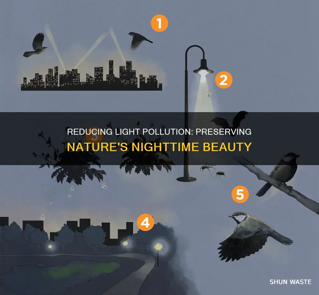 why is it important to reduce light pollution