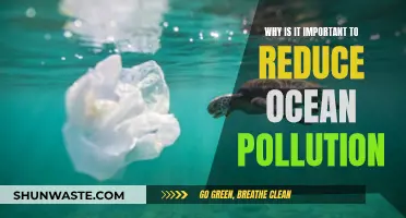 Ocean Pollution: A Global Crisis We Must Address