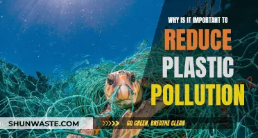 Plastic Pollution: Our Oceans Need Urgent Action Now