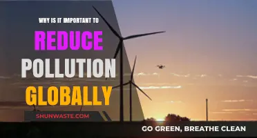Reducing Global Pollution: A Critical Step for Our Planet's Future