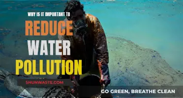 Water Pollution: Reducing Its Impact for a Better Future