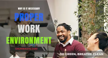 Creating Productive Spaces: The Importance of a Proper Work Environment