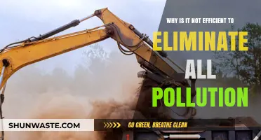 Balancing Progress: Why Zero Pollution Isn’t the Most Efficient Goal