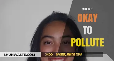 Is Pollution Acceptable? Debating the Ethics of Environmental Degradation