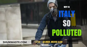 Italy's Pollution Crisis: Uncovering the Causes of Environmental Degradation