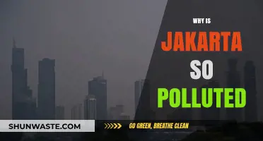 Jakarta's Air Crisis: Unraveling the Causes of Severe Pollution