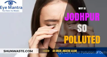 Jodhpur's Pollution Crisis: Uncovering the Causes and Consequences