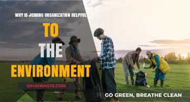 Joining Organizations: A Powerful Way to Protect Our Environment
