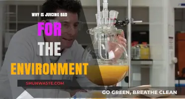 Juicing's Environmental Impact: Uncovering the Hidden Costs of a Trendy Habit
