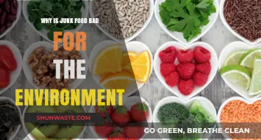 Junk Food's Hidden Cost: Environmental Impact and Sustainability Concerns