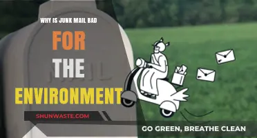 Junk Mail's Environmental Impact: Waste, Deforestation, and Carbon Footprint Explained