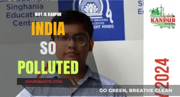 Kanpur's Pollution Crisis: Unraveling the Causes of India's Toxic Air