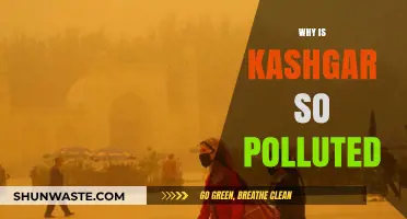Kashgar's Air Crisis: Uncovering the Causes of Severe Pollution