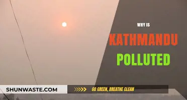 Kathmandu's Air Crisis: Uncovering the Causes of Severe Pollution