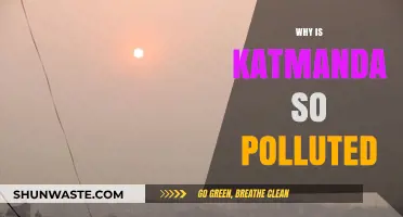 Unveiling Kathmandu's Pollution Crisis: Causes, Impacts, and Urgent Solutions