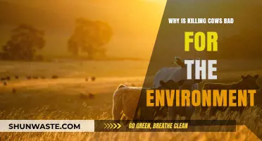 Killing Cows Harms Our Planet: Environmental Impact of Cattle Slaughter