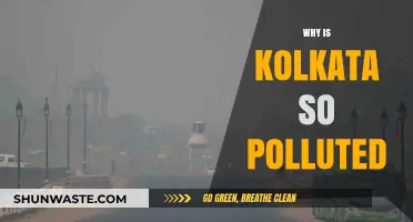 Kolkata's Pollution Crisis: Causes, Impacts, and Urgent Solutions Needed